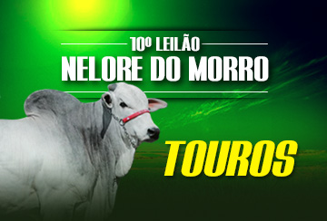 10º LEILÃO NELORE DO MORRO - TOUROS